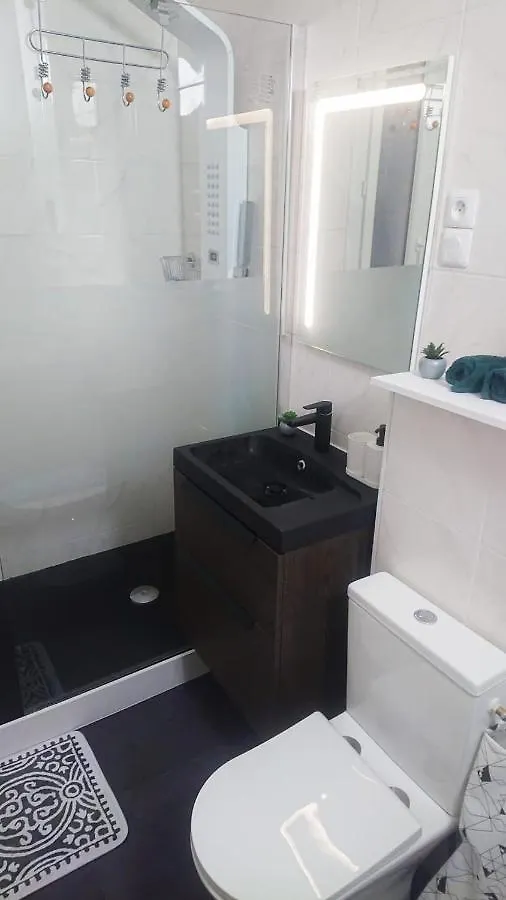 Apartament Chez Alex Lyon